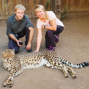 cheetah encounter